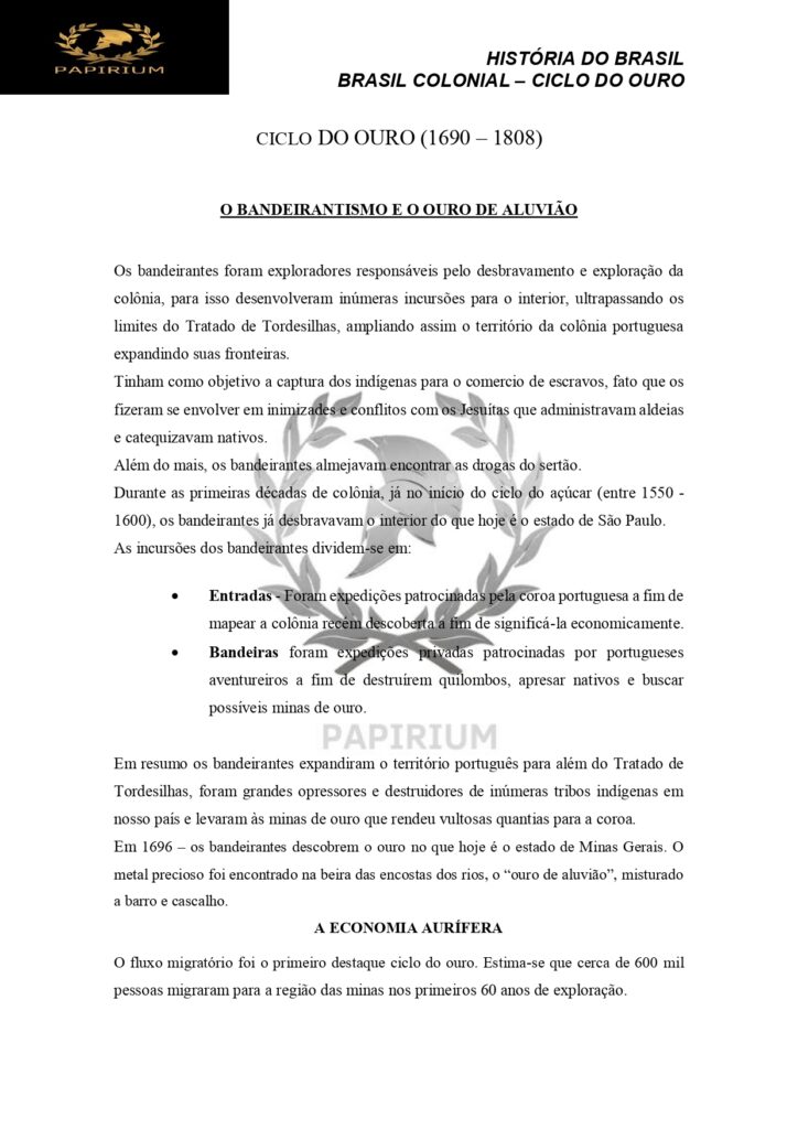 RESUMO_BRASIL COLONIA_CICLO DO OURO_page-0001